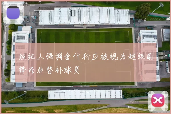 经纪人强调舍什科应被视为超级前锋而非替补球员
